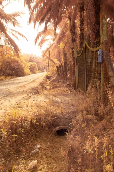 Imagen Infrarroja Ambiental Alrededor Plantación Agricultura Palma Aceitera — Foto de Stock