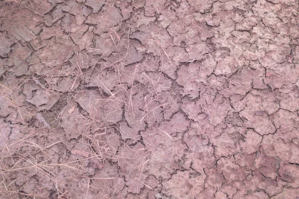 Infrared Image Crack Dried Mud Surface Ground — Stock Photo, Image