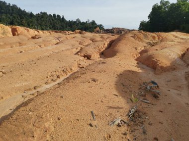 Ormanların tahrip edilmesinden dolayı çorak arazi.