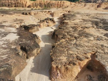 Ormanların tahrip edilmesinden dolayı çorak arazi.