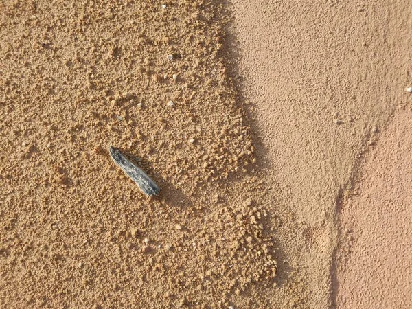 Ormanların tahrip edilmesinden dolayı çorak arazi.