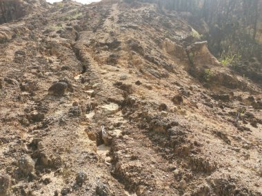 Ormanların tahrip edilmesinden dolayı çorak arazi.