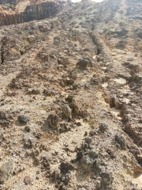 Ormanların tahrip edilmesinden dolayı çorak arazi.