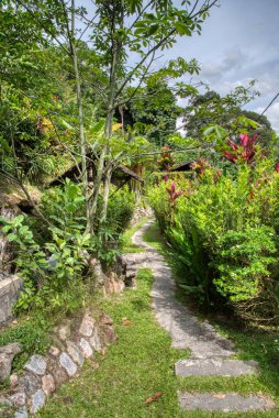 Yeşillik bahçe yolu parka gidiyor.