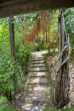 Yeşillik bahçe yolu parka gidiyor.