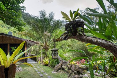 Perak, Malezya. 30 Eylül 2022: Yeşillik ve yeşilliklerin güzel manzarası Adeline Villa ve Dinlenme Evi, Gopeng çevresindeki peyzaj parkı.