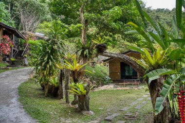 Perak, Malezya. 30 Eylül 2022: Yeşillik ve yeşilliklerin güzel manzarası Adeline Villa ve Dinlenme Evi, Gopeng çevresindeki peyzaj parkı.