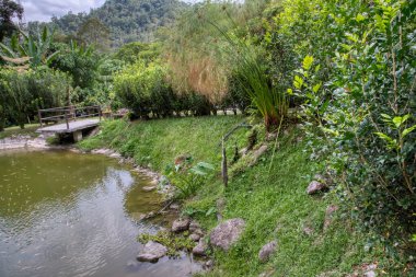 Perak, Malezya. 30 Eylül 2022: Yeşillik ve yeşilliklerin güzel manzarası Adeline Villa ve Dinlenme Evi, Gopeng çevresindeki peyzaj parkı.