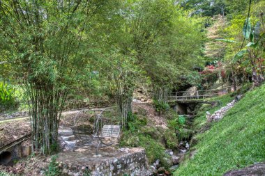 Perak, Malezya. 30 Eylül 2022: Yeşillik ve yeşilliklerin güzel manzarası Adeline Villa ve Dinlenme Evi, Gopeng çevresindeki peyzaj parkı.