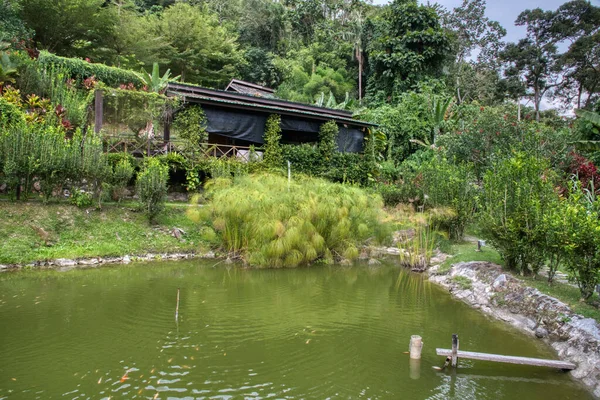 Perak Malaysia September 2022 Schöne Landschaft Der Üppigen Oder Grünen — Stockfoto