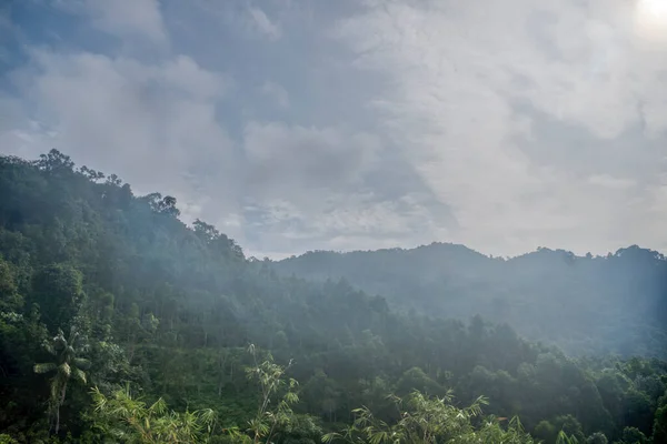 Paisagem Cena Aérea Floresta Agarwood — Fotografia de Stock