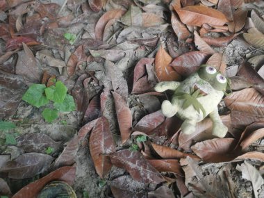 Perak, Malezya. 11 Ekim 2022: Kg Koh çöplüğündeki çalı tarlasına atılan kirli, yumuşak bir oyuncak.