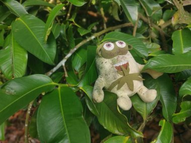 Perak, Malezya. 11 Ekim 2022: Kg Koh çöplüğündeki çalı tarlasına atılan kirli, yumuşak bir oyuncak.