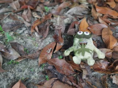 Perak, Malezya. 11 Ekim 2022: Kg Koh çöplüğündeki çalı tarlasına atılmış kirli bir kurbağa yumuşak oyuncağı.