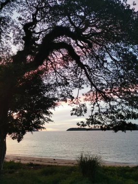 Sahilde güzel bir gece gökyüzü.