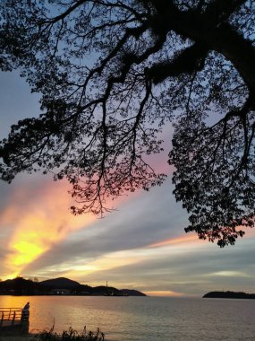 Sahilde güzel bir gece gökyüzü.