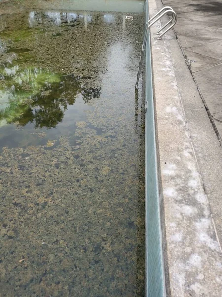 Ononderhouden Openlucht Zwembad Met Algen Drijvend Het Wateroppervlak — Stockfoto