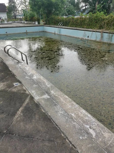 没有维修的户外游泳池 水面上漂浮着海藻 — 图库照片