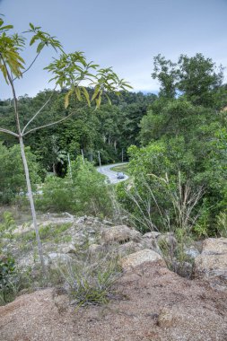 Taş ocağının çevresindeki erozyon sahnesi.