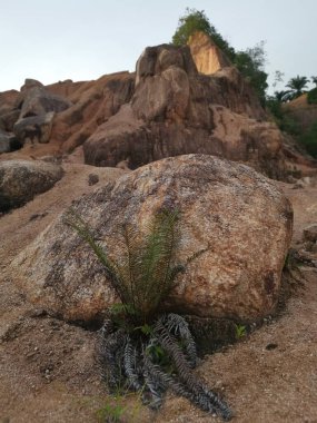 Taş ocağının çevresindeki çevre sahnesi.