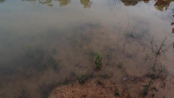 Flygbild Det Stillastående Vattnet Efter Regnet Vid Stenbrottet — Stockvideo