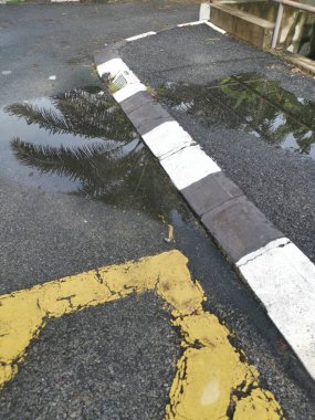 Yağmurdan sonra yol kenarında durgun su birikintisi