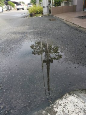 Yağmurdan sonra yol kenarında durgun su birikintisi