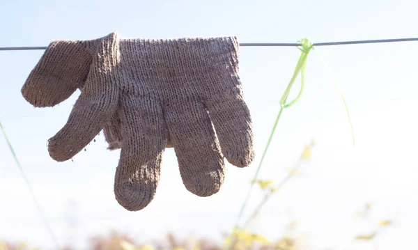 Infrarotbild Des Trocknens Des Handschuhs Auf Der Offenen Raumlinie — Stockfoto