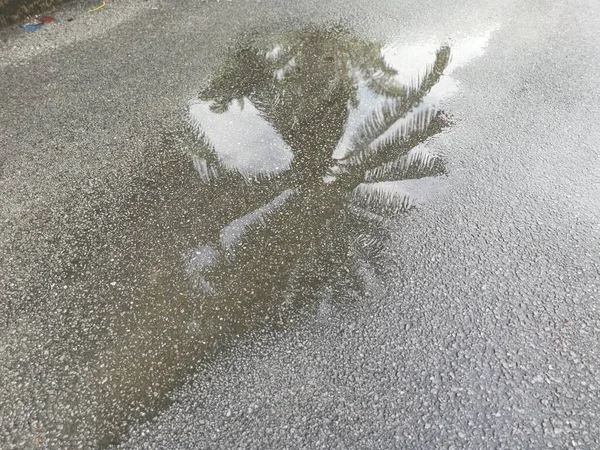 Flaque Réfléchissante Avec Eau Stagnante Sur Bord Route Après Pluie — Photo