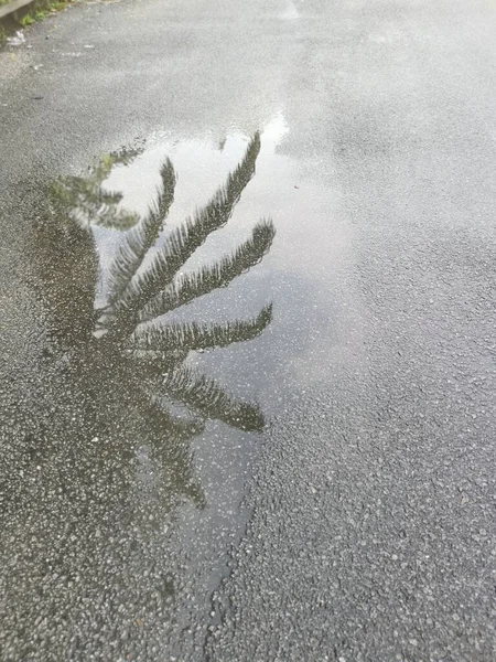 Flaque Réfléchissante Avec Eau Stagnante Sur Bord Route Après Pluie — Photo