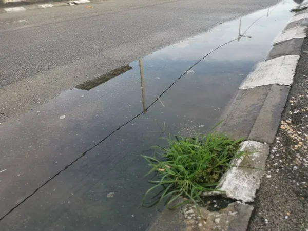 Reflective Puddle Stagnant Water Roadside Rain — Stock Photo, Image