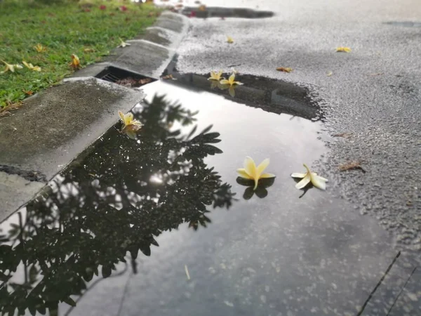 Reflecterende Plas Met Stilstaand Water Langs Weg Regen — Stockfoto