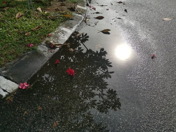 Charco Reflectante Con Agua Estancada Carretera Después Lluvia —  Fotos de Stock