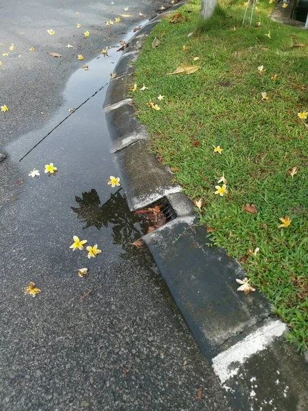 Pozzanghera Riflettente Con Acqua Stagnante Sul Bordo Della Strada Dopo — Foto Stock