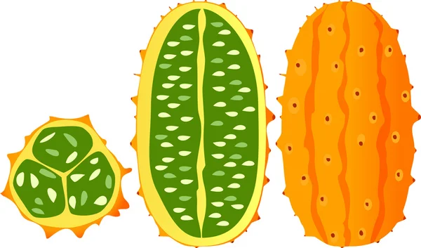 Gehörnte Melone, Kiwano, afrikanische Hörner — Stockvektor