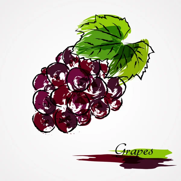 Frutos de uvas — Vetor de Stock