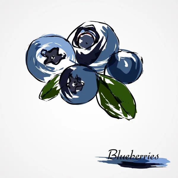 Blåbär, huckleberries — Stock vektor