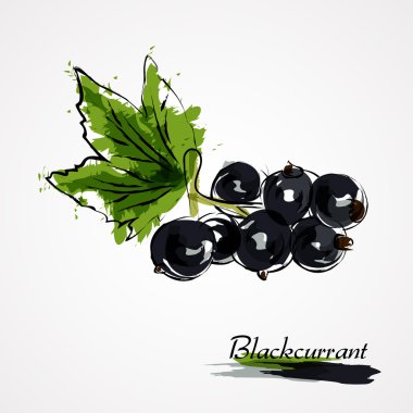 Blackcurrant