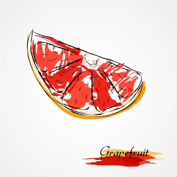 Grapefruit — Stockvektor