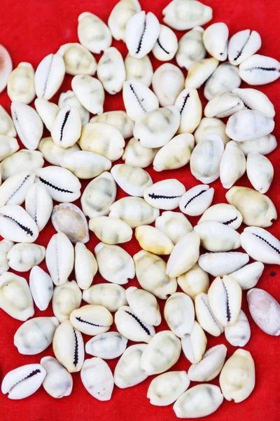 Pod duang para Tarih ayutthaya Tayland