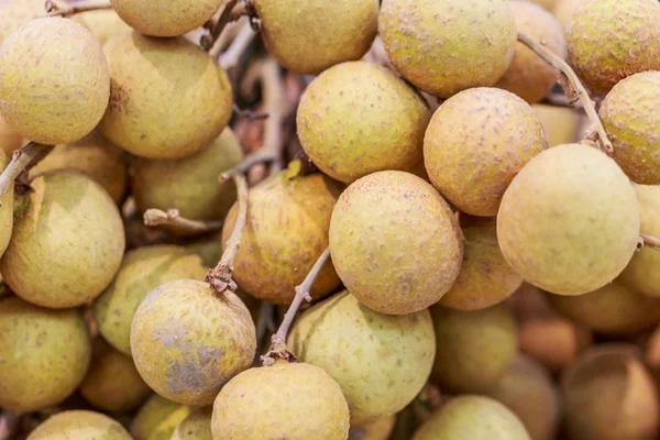 Close-up dimocarpus longan — Stock Photo, Image