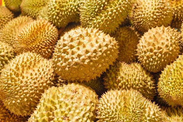 Närbild durian — Stockfoto