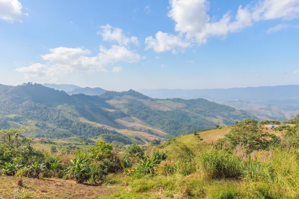 Bosque con paisaje montaña al norte de Tailandia — Foto de Stock