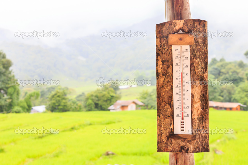 temperature with background green plant 