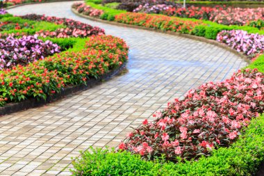 eğri yol ve güzel çiçek