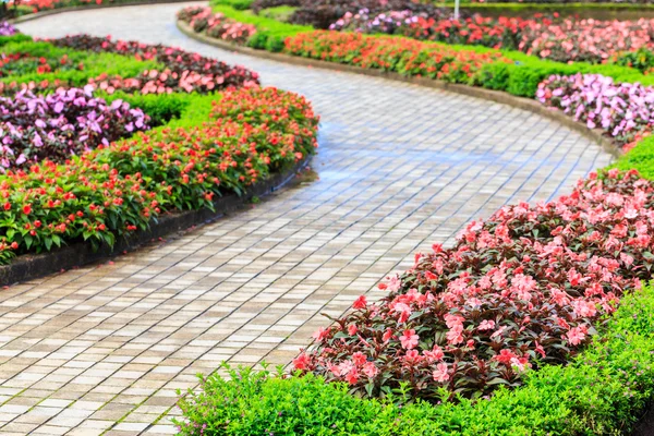 eğri yol ve güzel çiçek