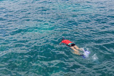 kho kai krabi thailand, Balık ve mercan görmek için şnorkel