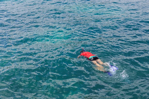 kho kai krabi thailand, Balık ve mercan görmek için şnorkel