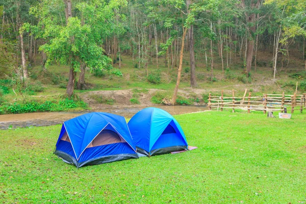 Camping inside forest — Stock Photo, Image