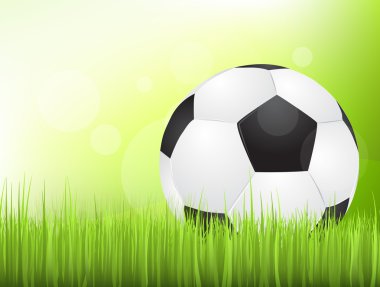 Çimlerin üzerinde futbol topu